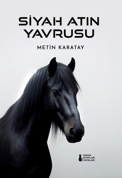 Metin KaratayTürk RomaniSiyah Atın Yavrusu