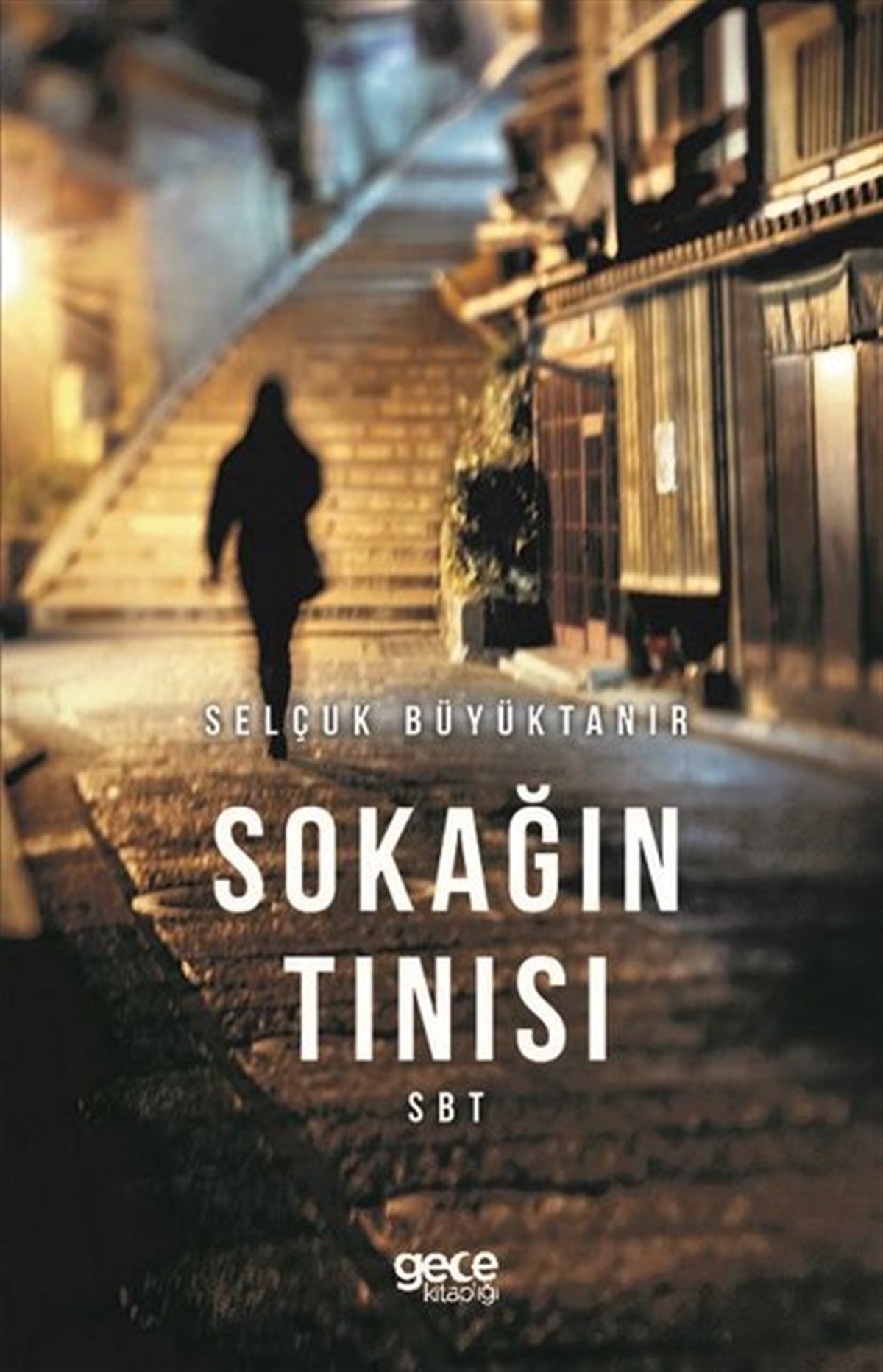 Selçuk BüyüktanırTürkiye RomanSokağın Tınısı