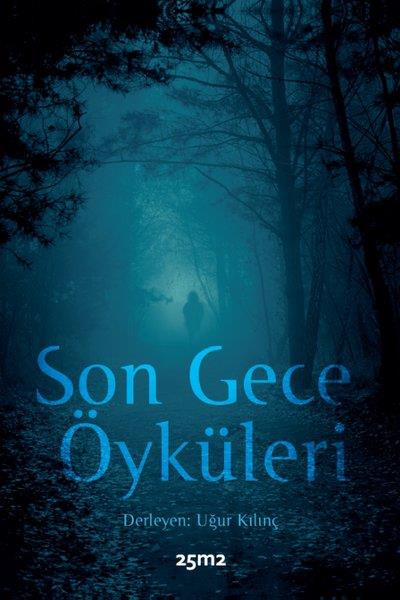 KolektifKorku Kitapları & Gerilim KitaplarıSon Gece Öyküleri