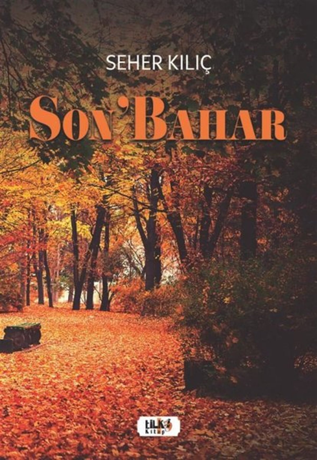 Seher KılıçTürk ŞiiriSon'bahar