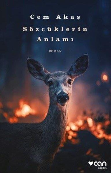 Cem AkaşTürk RomaniSözcüklerin Anlamı