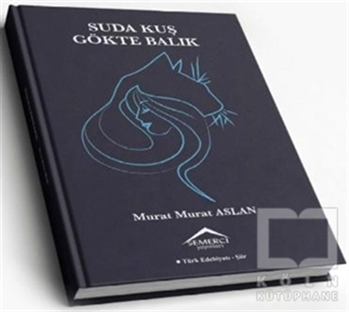 Murat Murat AslanŞiirSuda Kuş Gökte Balık