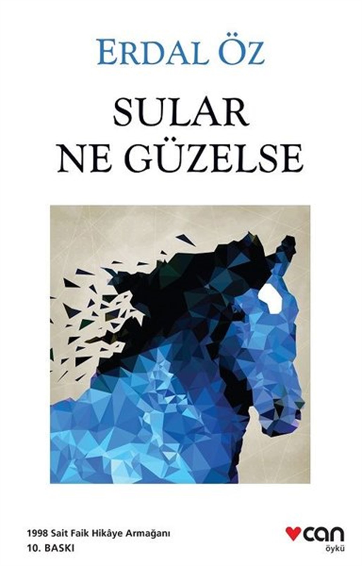 Erdal ÖzTürkiye RomanSular Ne Güzelse