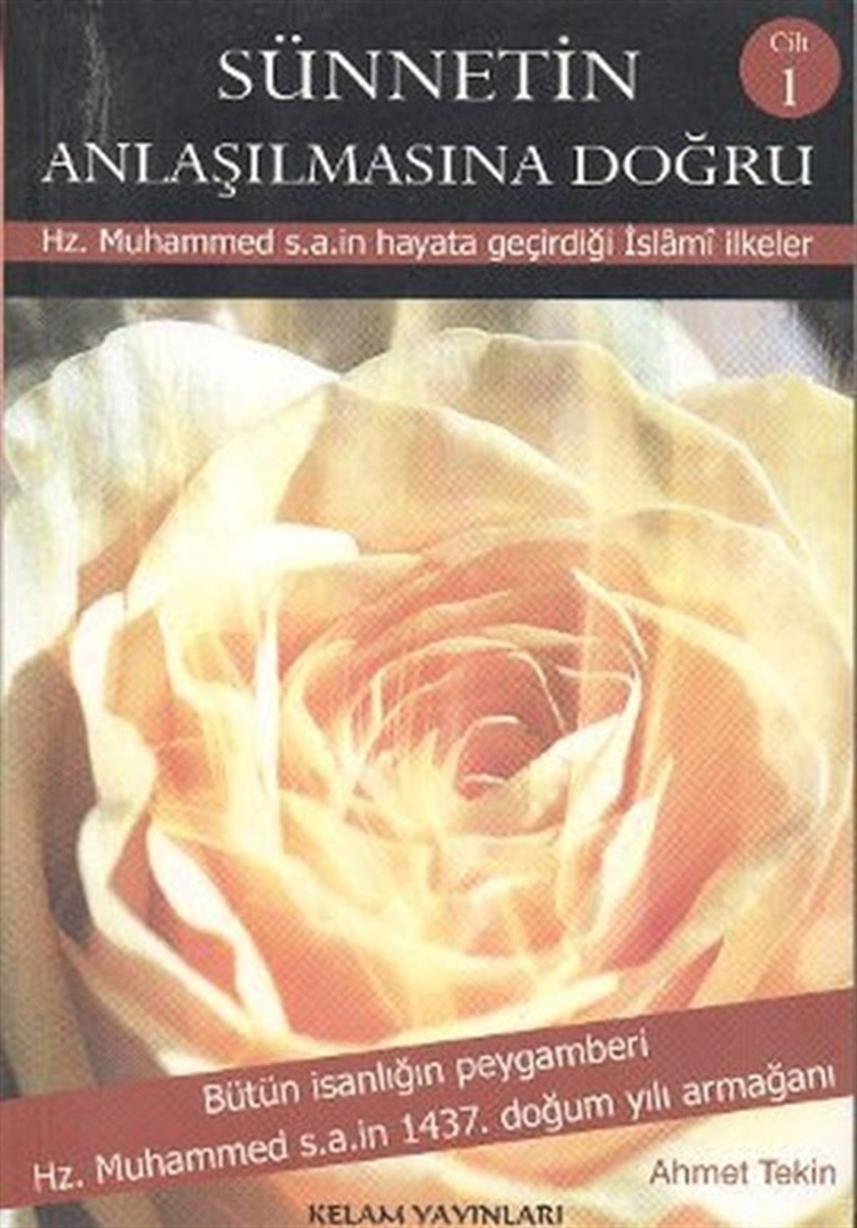 Ahmet TekinIslamische BücherSünnetin Anlaşılmasına Doğru (3 Cilt)