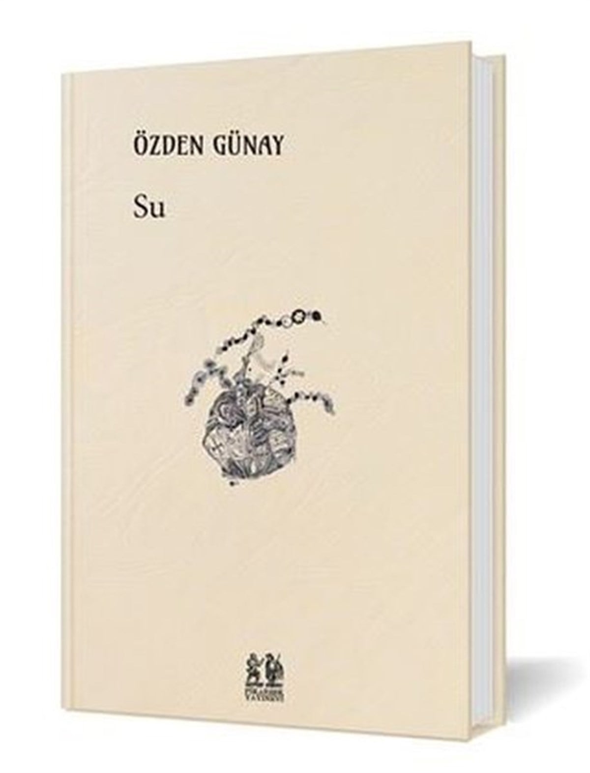 Özden GünayTürkiye RomanSu