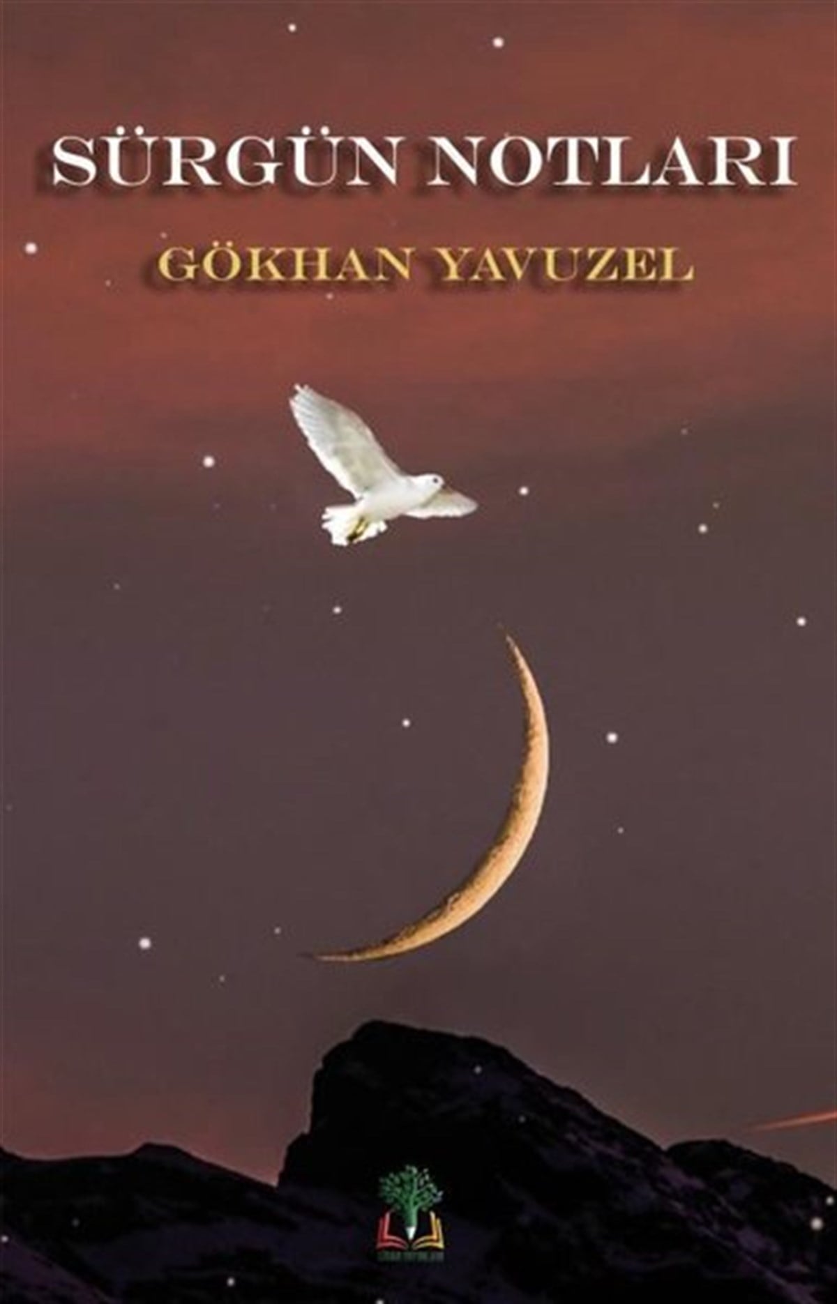 Gökhan YavuzelMemoiren & Brief & TagebuchSürgün Notları