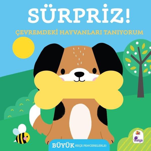 KolektifEgitim Etkinlik KitaplariSürpriz! Çevremdeki Hayvanları Tanıyorum