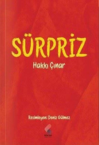 Hakkı ÇınarÇocuk Gençlik RomanlarıSürpriz
