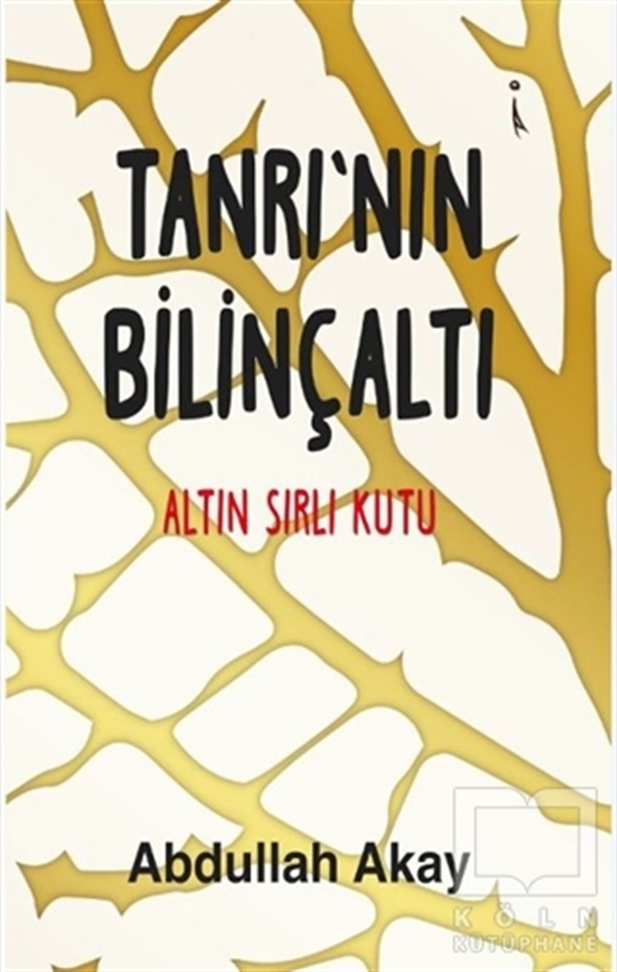 Abdullah AkayDeneme KitaplarıTanrı'nın Bilinçaltı