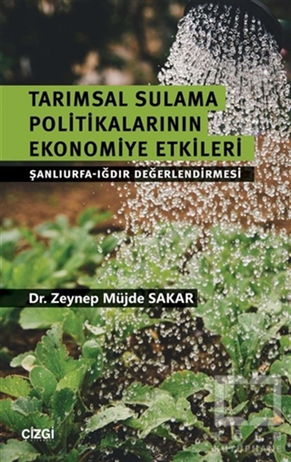 Tarımsal Sulama Politikalarının Ekonomiye Etkileri