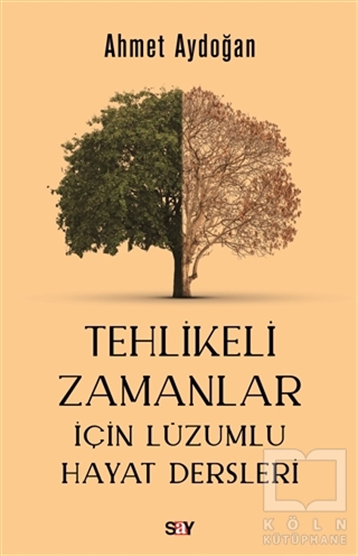 Ahmet AydoğanPhilosophiebücherTehlikeli Zamanlar İçin Lüzumlu Hayat Dersleri