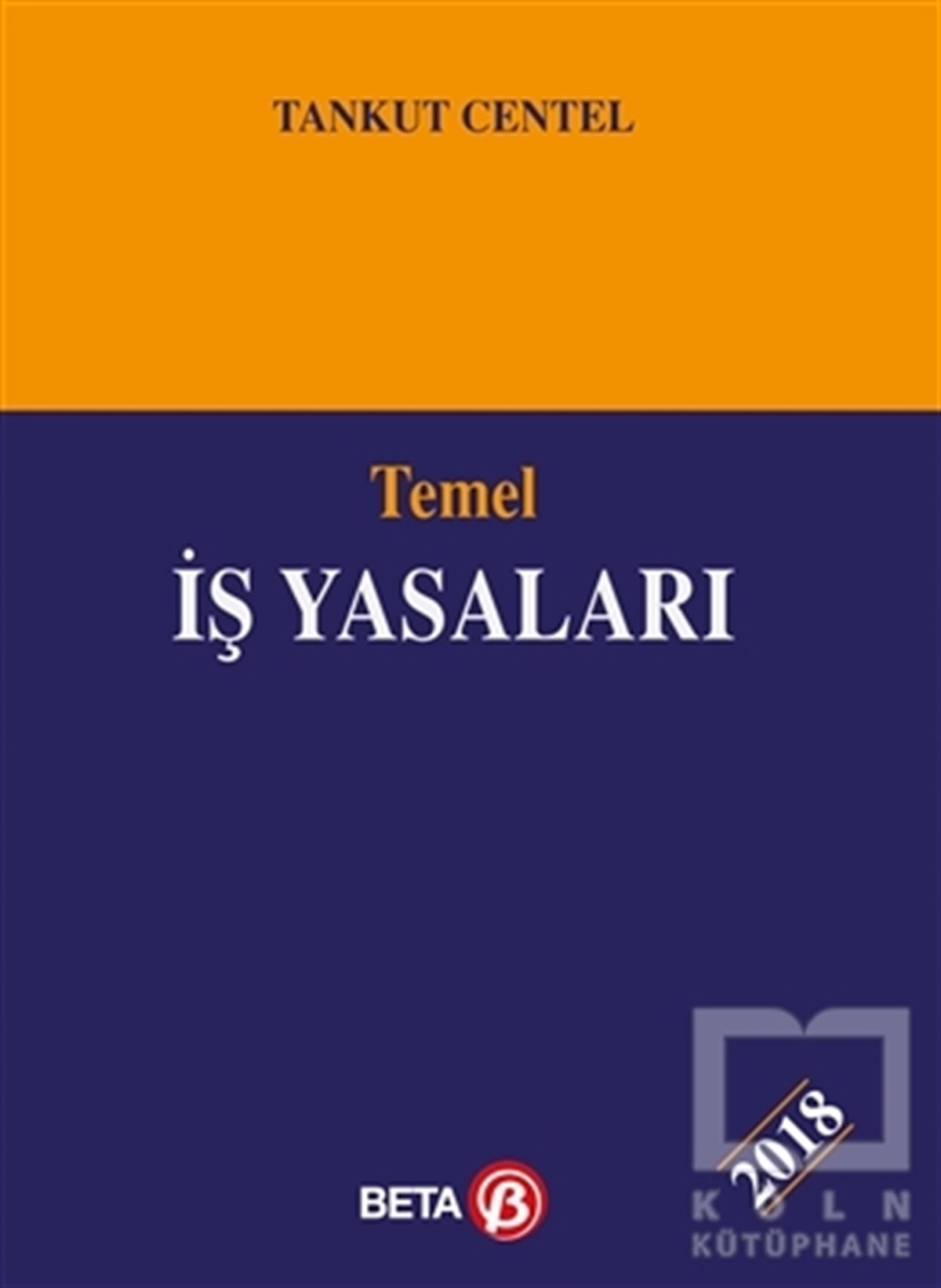 Temel İş Yasaları