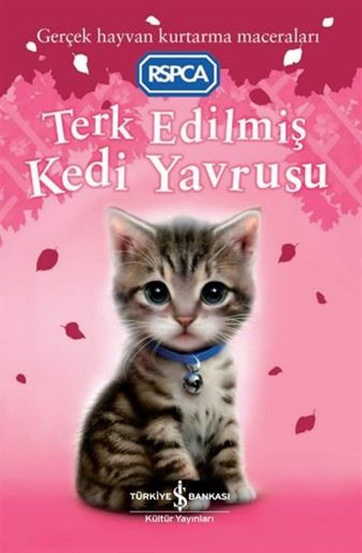 Sue MongredienEgitim Etkinlik KitaplariTerk Edilmiş Kedi Yavrusu