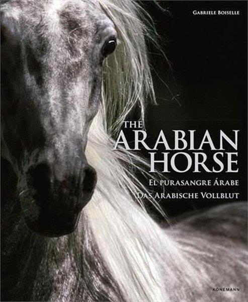 KolektifArtThe Arabian Horses