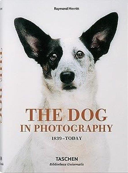 Raymond MerrittPhotographyThe Dog in Photography 1839-Today