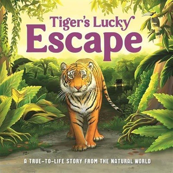 Autumn PublishingPreschoolTiger's Lucky Escape