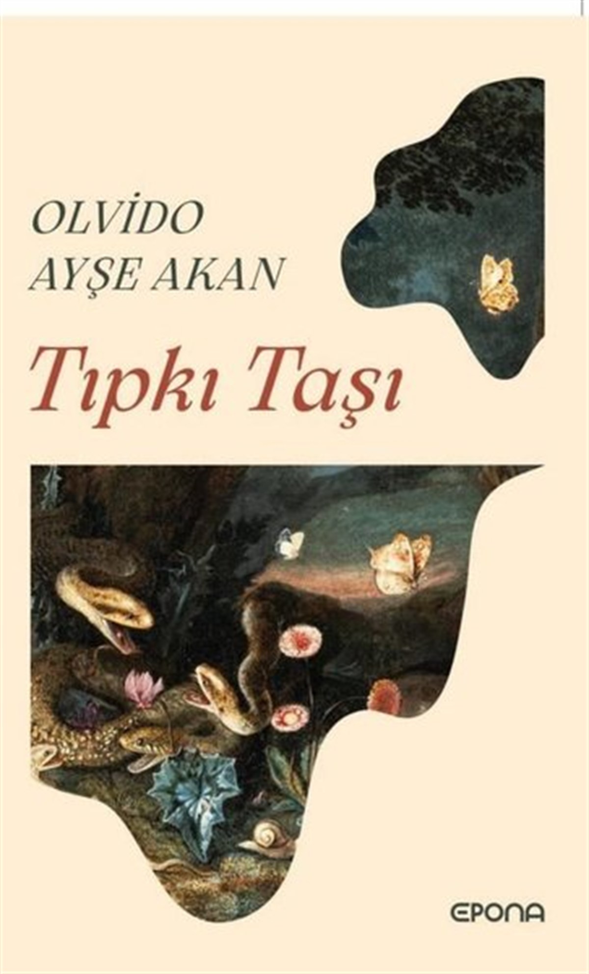 Ayşe AkanTürkiye RomanTıpkı Taşı