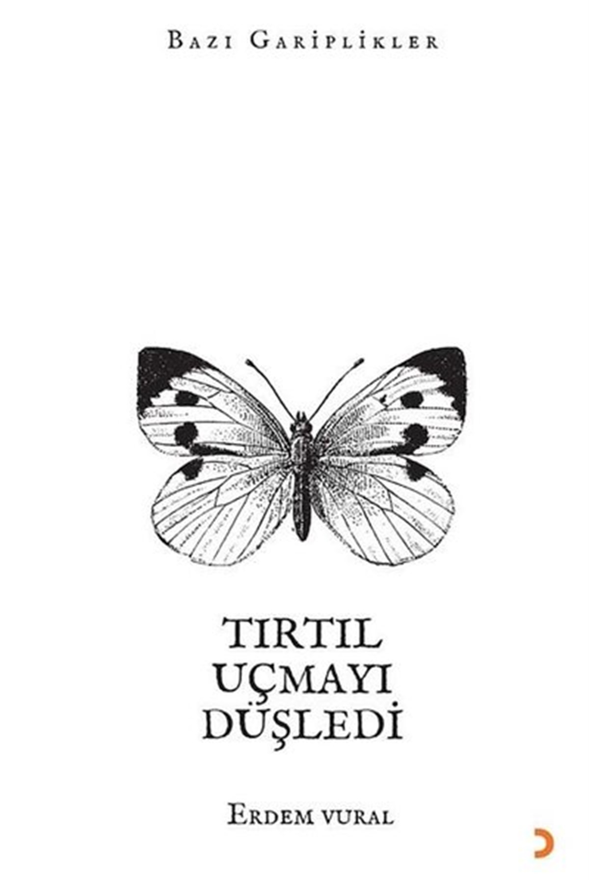 Erdem VuralEssay BücherTırtıl Uçmayı Düşledi
