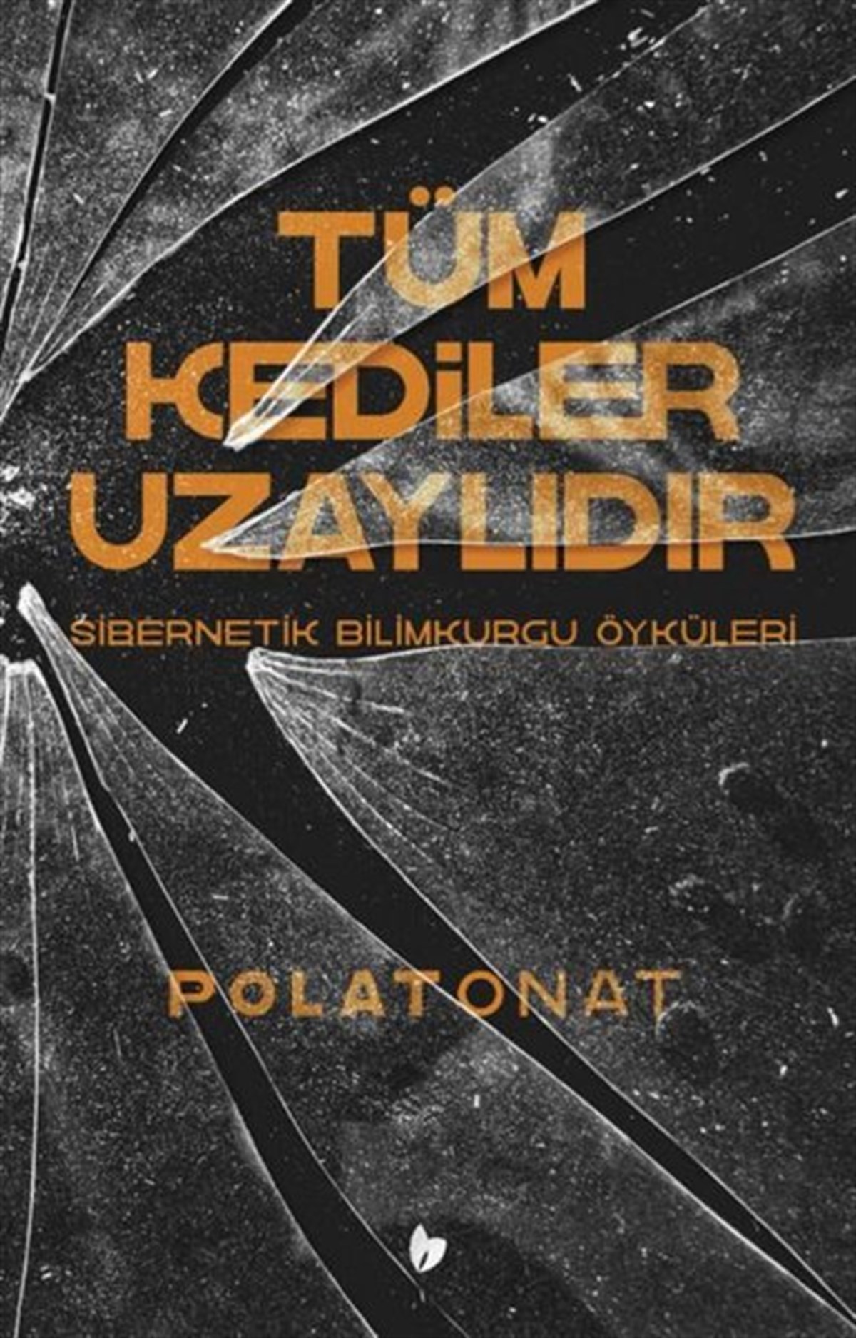 Polat OnatScience- Fiction Tüm Kediler Uzaylıdır - Sibernetik Bilimkurgu Öyküleri