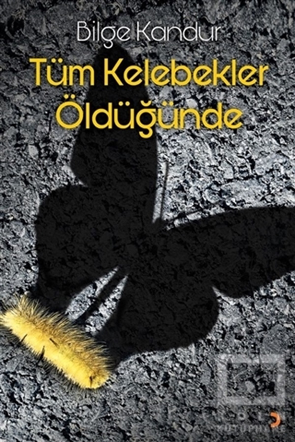 Bilge KandurTürkische RomaneTüm Kelebekler Öldüğünde