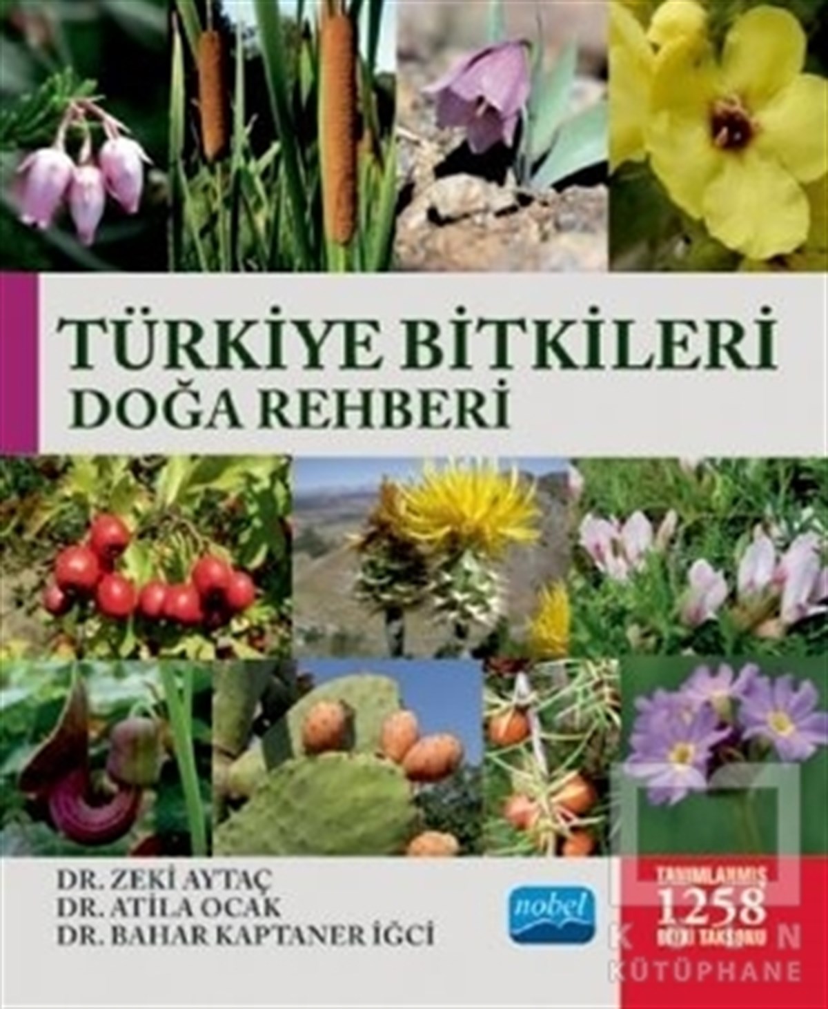 Türkiye Bitkileri Doğa Rehberi