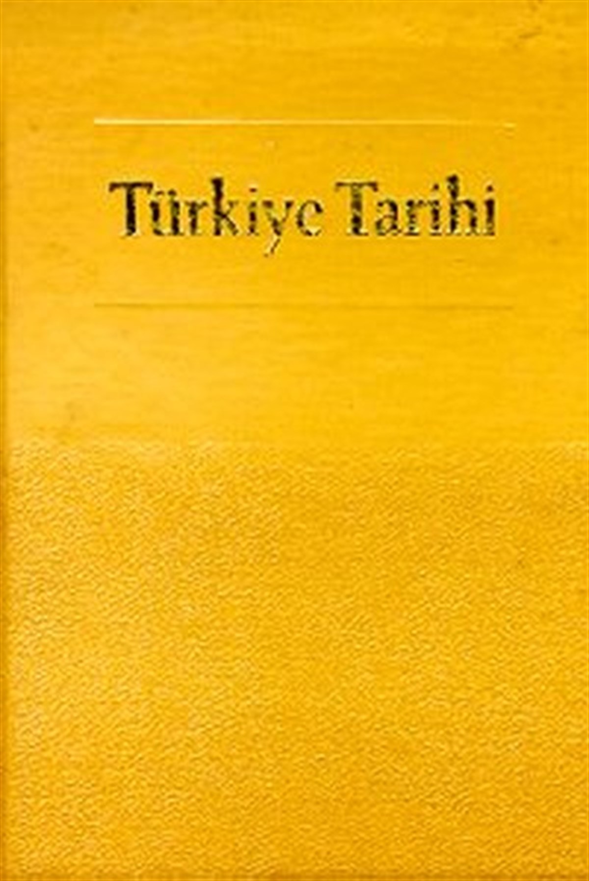 Dr. Yılmaz ÖztunaTürkiye ve Cumhuriyet Tarihi KitaplarıTürkiye Tarihi