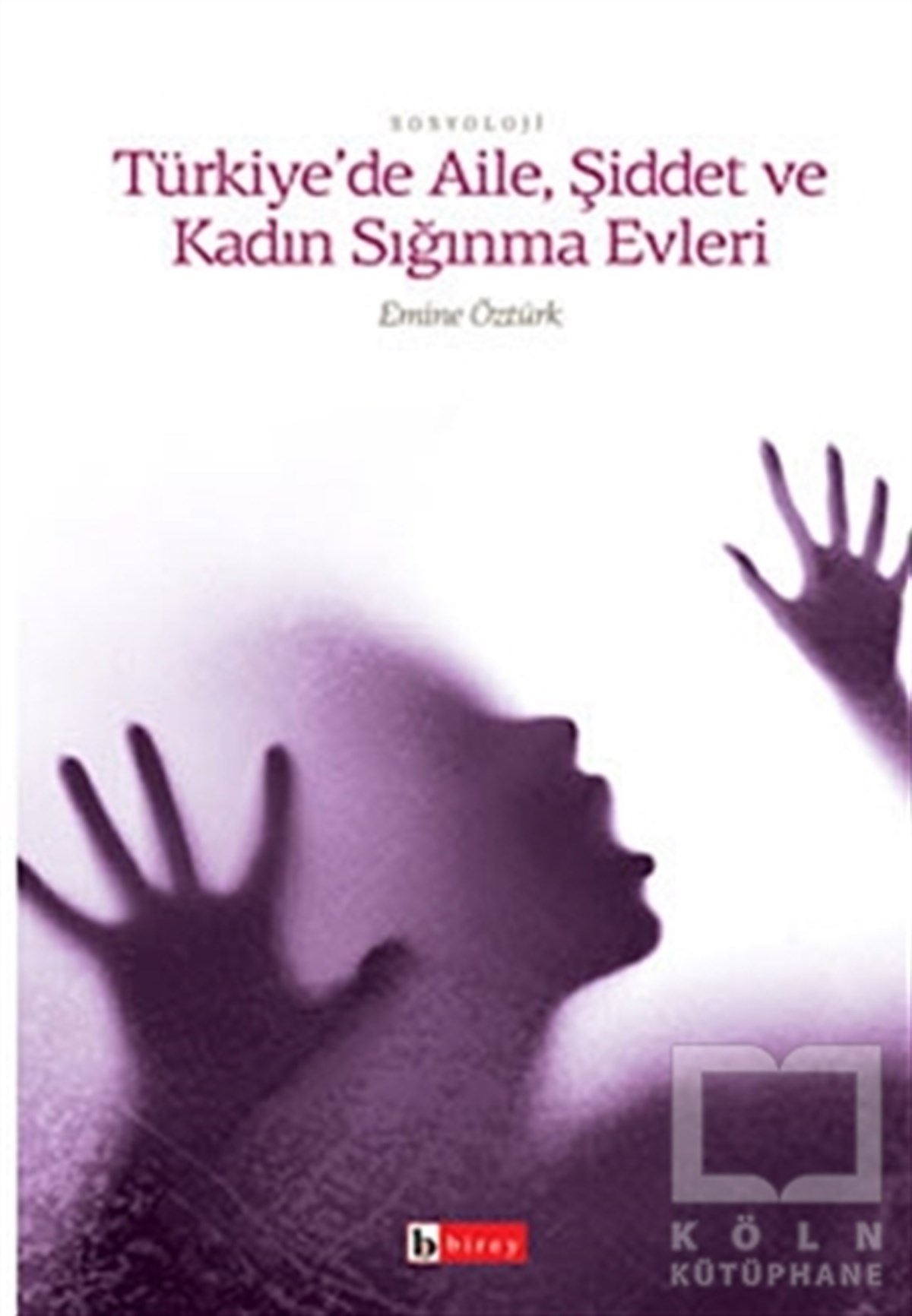 Emine ÖztürkDiğerTürkiye’de Aile, Şiddet ve Kadın Sığınma Evleri