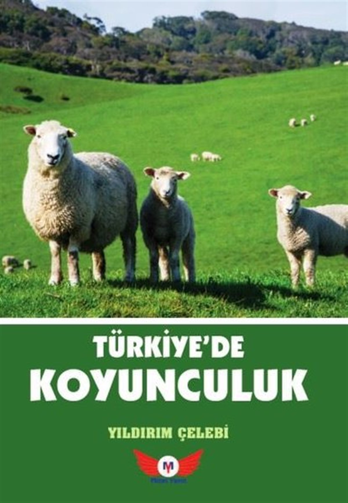 Yıldırım ÇelebiTierpflege BücherTürkiye'de Koyunculuk