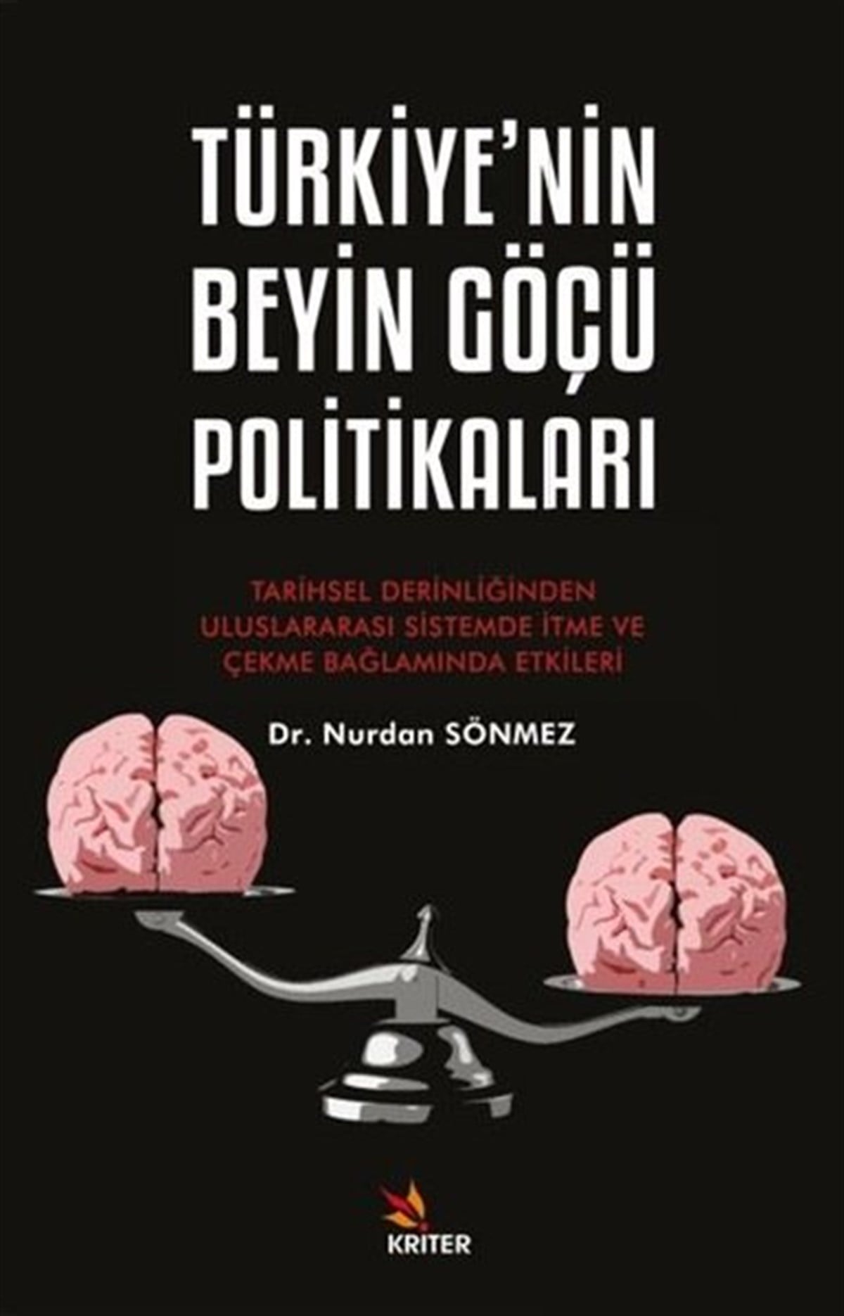 Nurdan SönmezTürkiye Siyaseti ve Politikası KitaplarıTürkiye'nin Beyin Göçü Politikaları