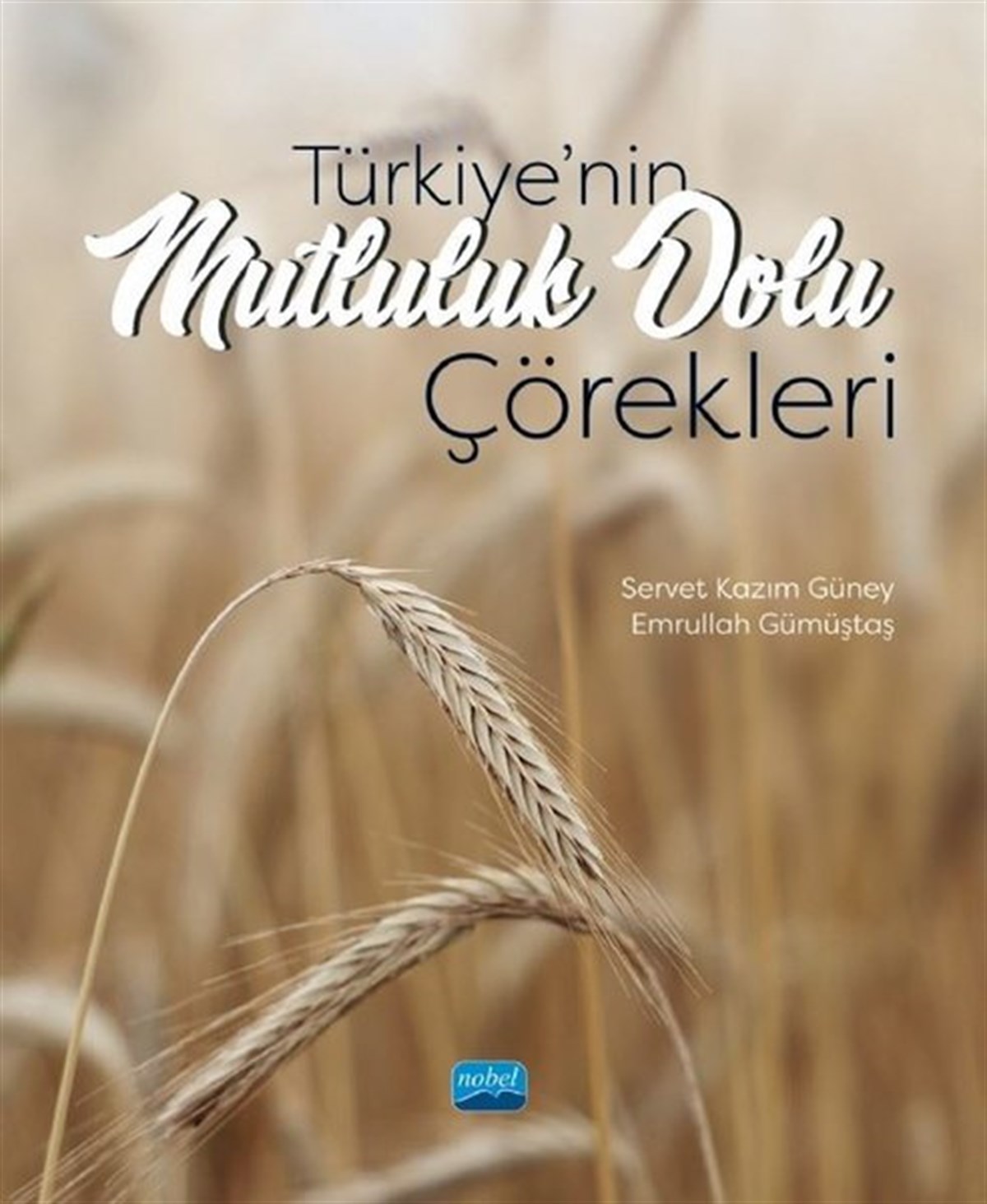 Emrullah GümüştaşSosyoloji KitaplarıTürkiye'nin Mutluluk Dolu Çörekleri