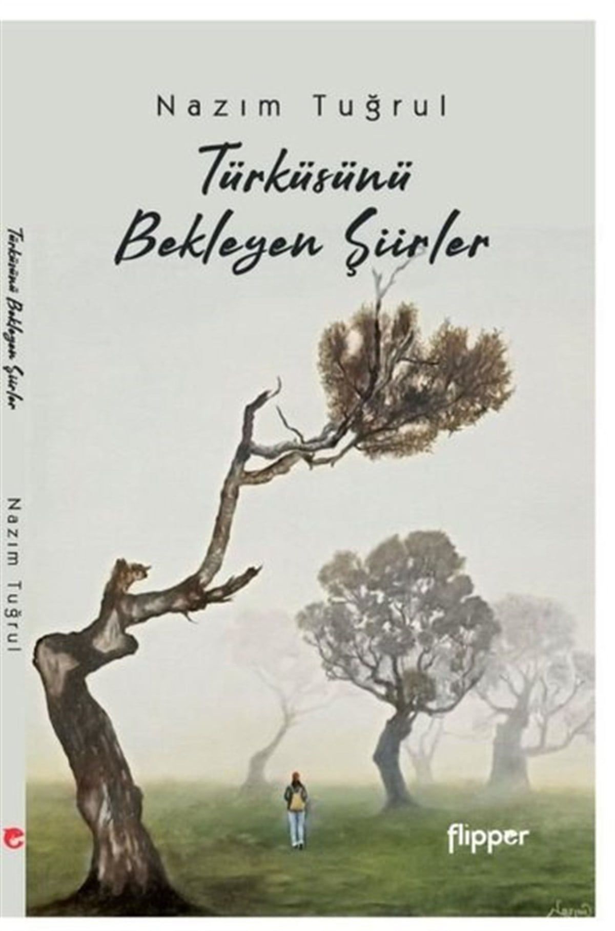Nazim TuğrulTürk ŞiiriTürküsünü Bekleyen Şiirler