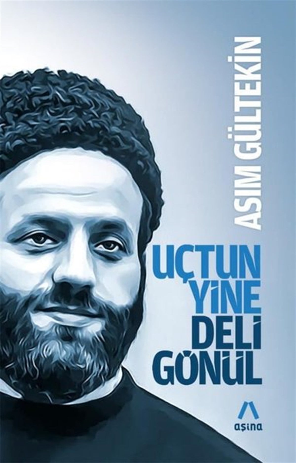 Asım GültekinEssay BücherUçtun Yine Deli Gönül