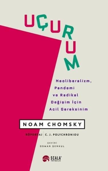 Noam ChomskyFelsefe BilimiUçurum