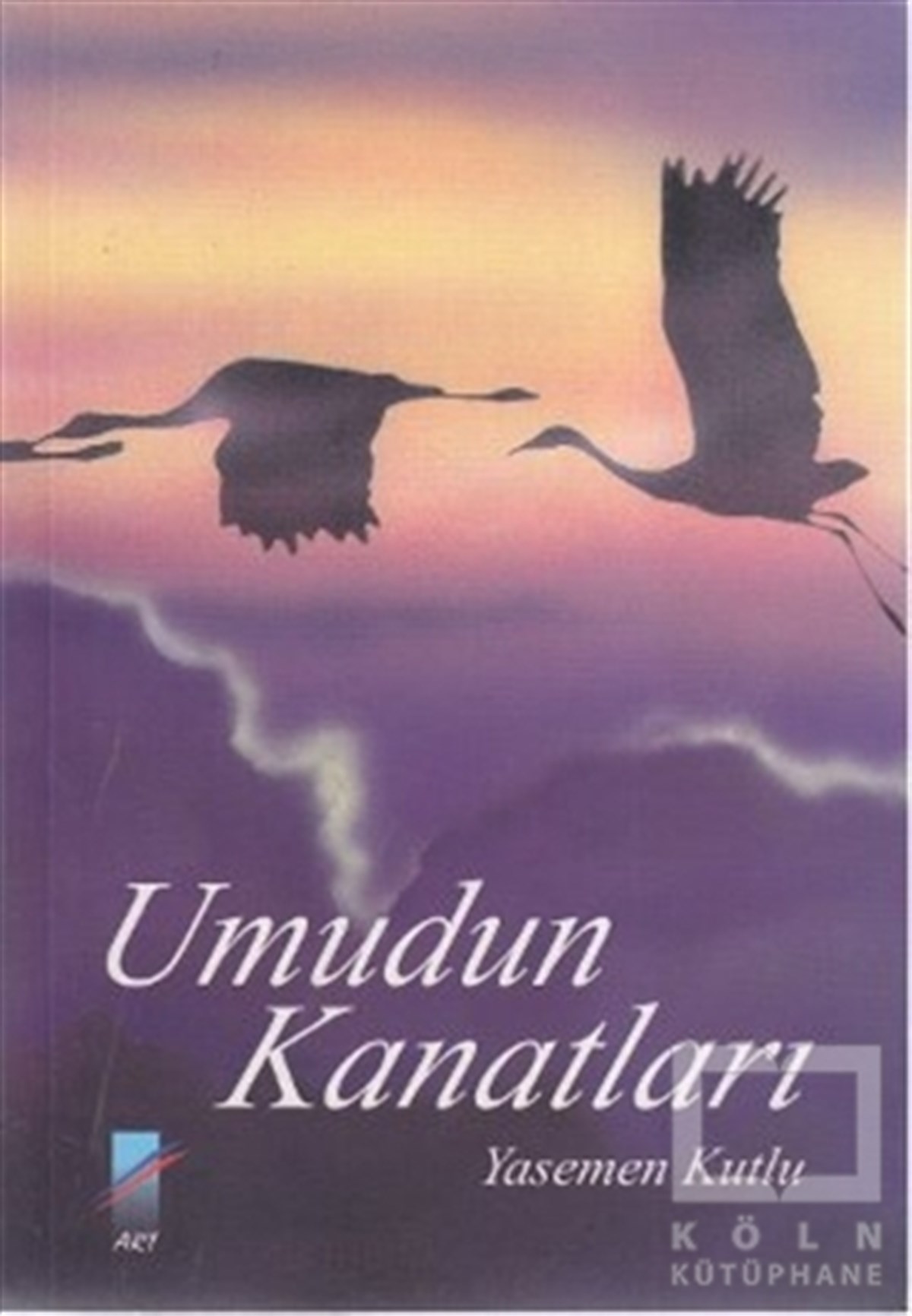 Yasemen KutluŞiirUmudun Kanatları