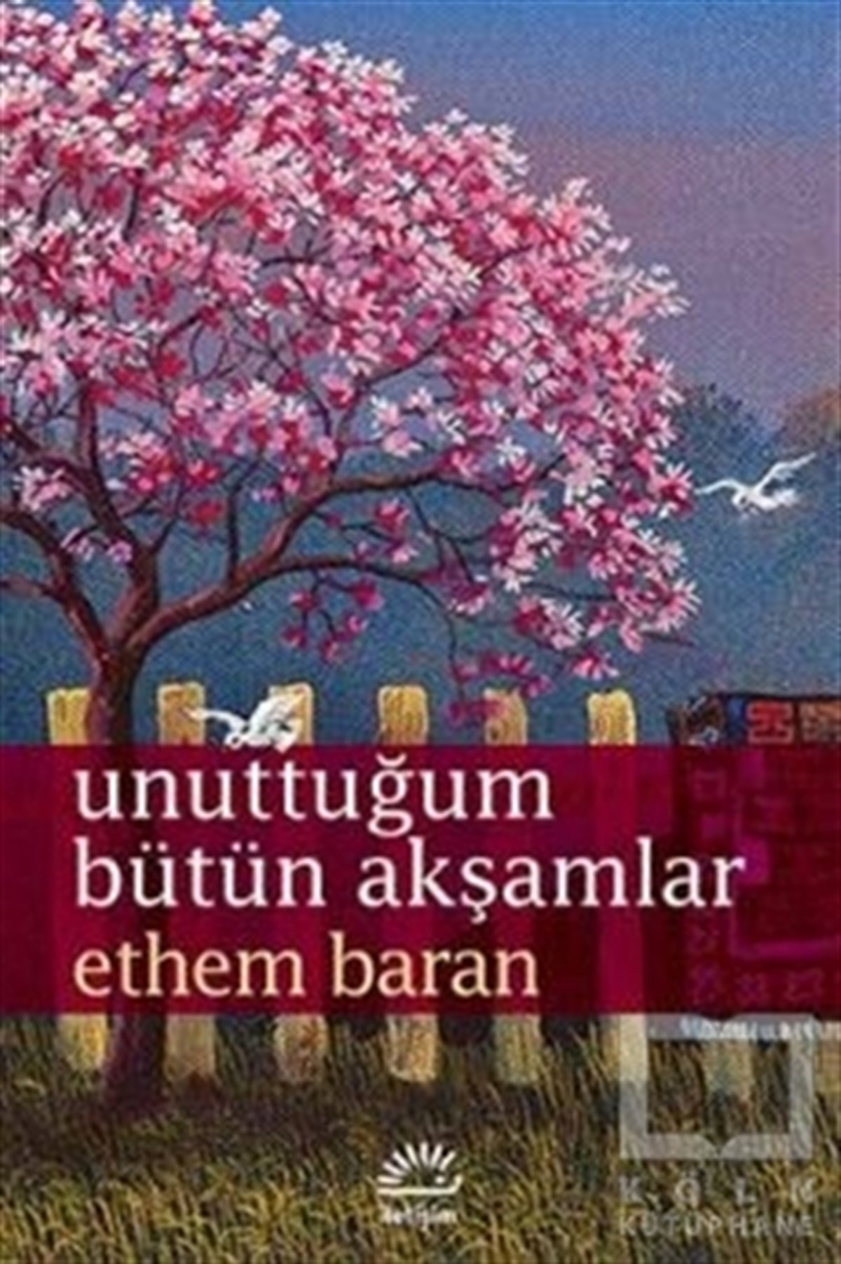 Ethem BaranÖyküUnuttuğum Bütün Akşamlar