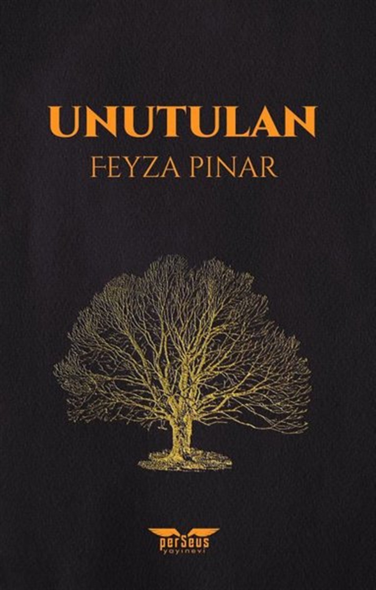 Feyza PınarTürkiye RomanUnutulan