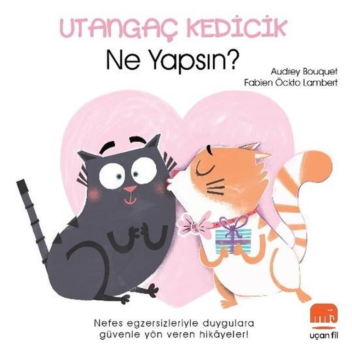Audrey BouquetEgitim Etkinlik KitaplariUtangaç Kedicik Ne Yapsın?