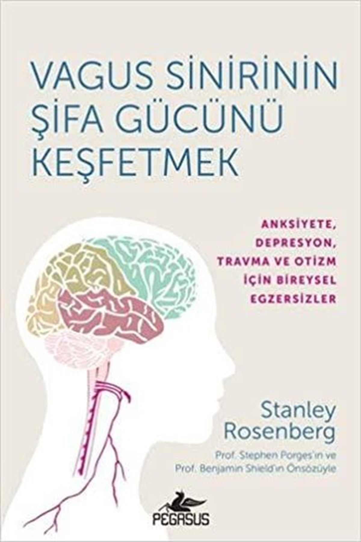 Stanley RosenbergPopüler Bilim KitaplarıVagus Sinirinin Şifa Gücünü Keşfetmek