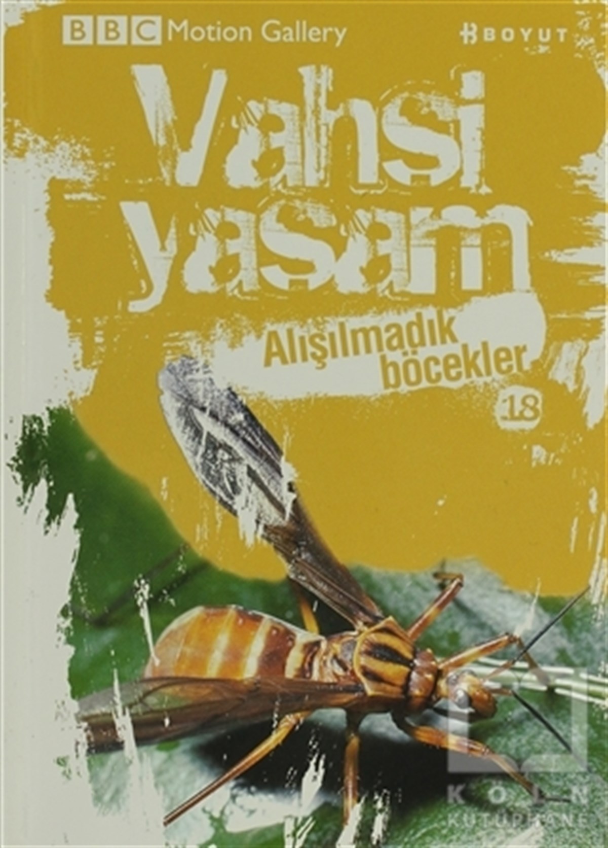 Vahşi Yaşam 2 - Alışılmadık Böcekler