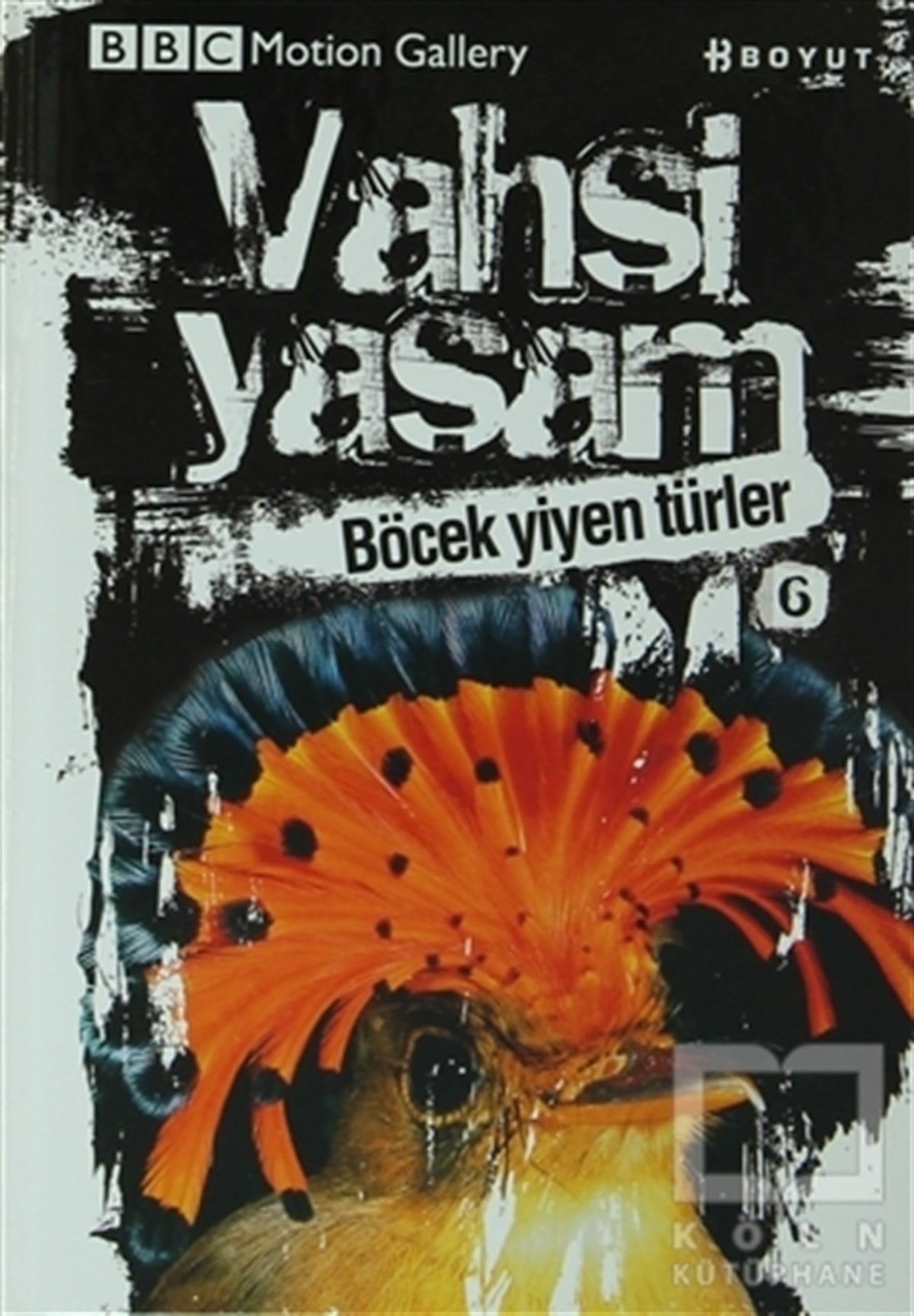Vahşi Yaşam 2 - Böcek Yiyen Türler