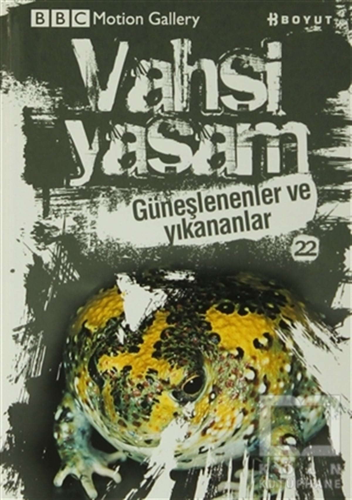 Vahşi Yaşam 2 - Güneşlenenler ve Yıkananlar