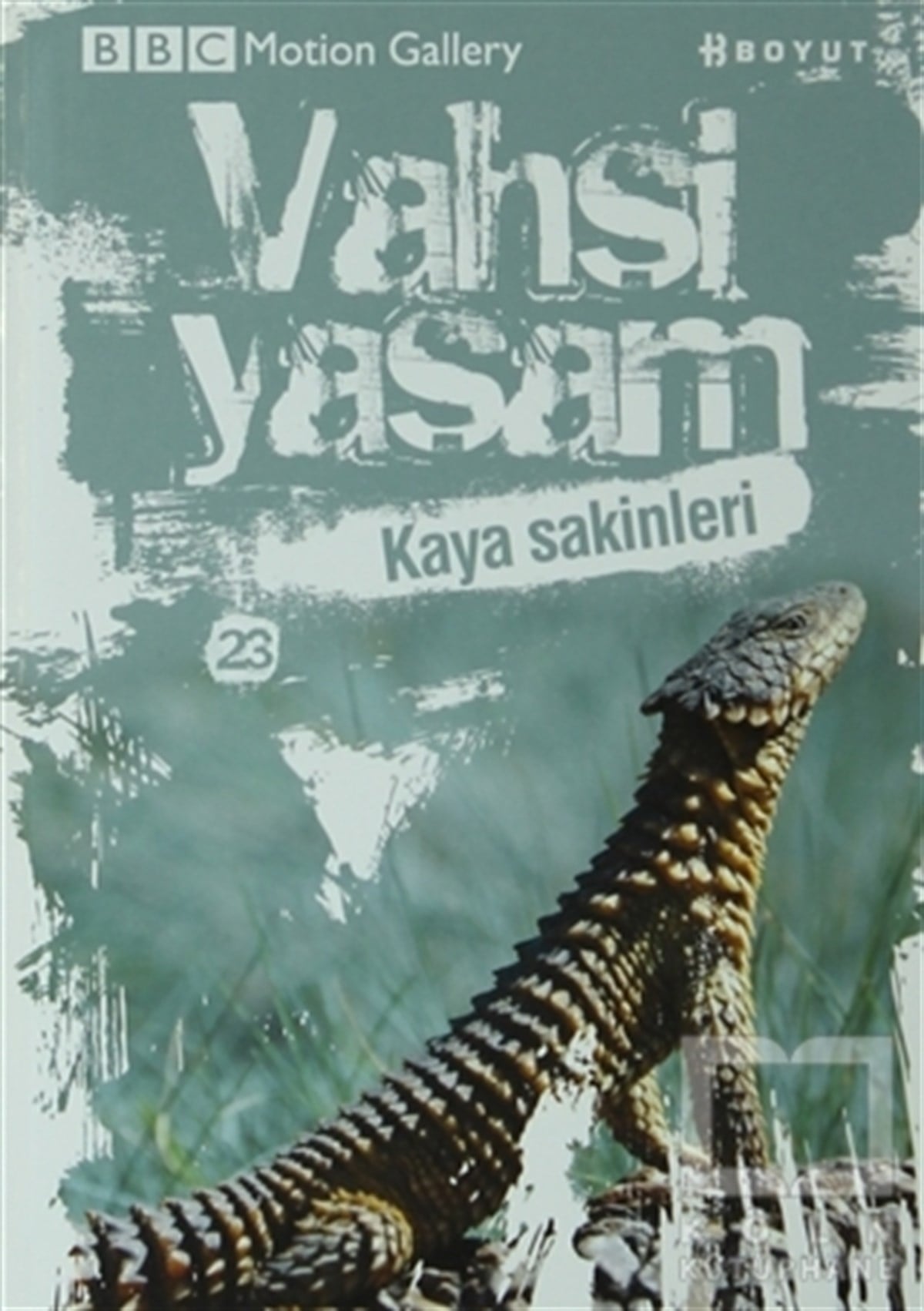 Vahşi Yaşam 2 - Kaya Sakinleri