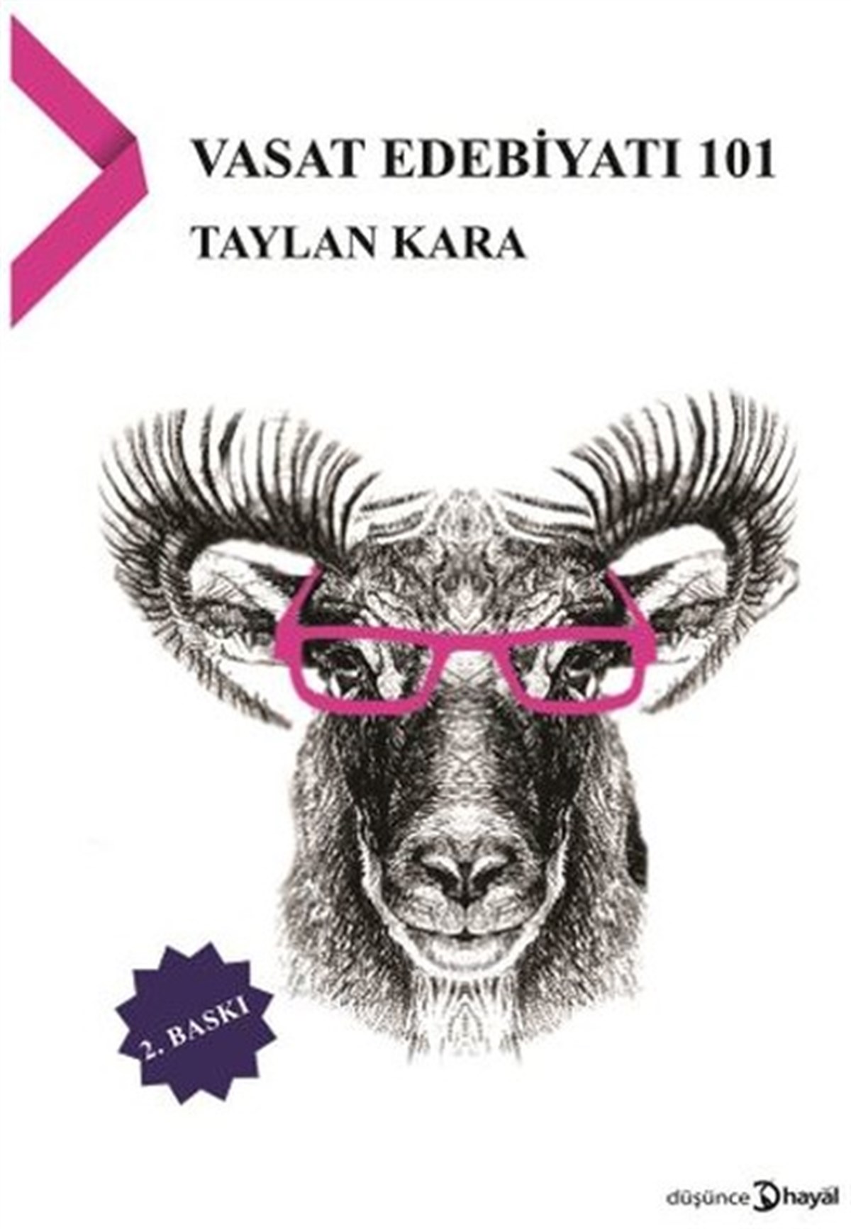Taylan KaraEssay BücherVasat Edebiyatı 101