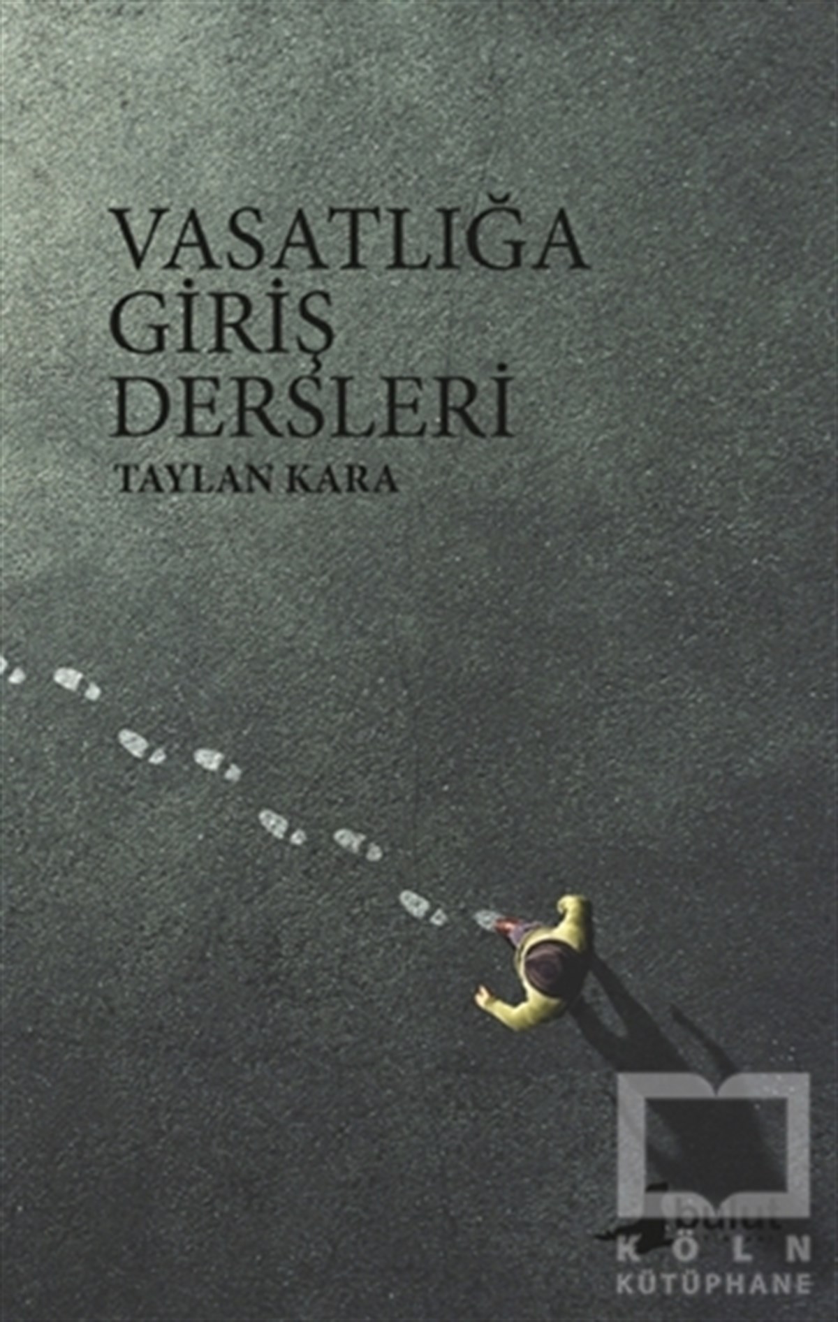 Taylan KaraDeneme KitaplarıVasatlığa Giriş Dersleri