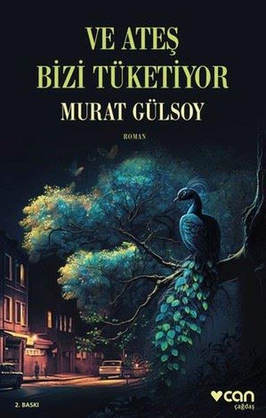 Murat GülsoyTürkiye RomanVe Ateş Bizi Tüketiyor