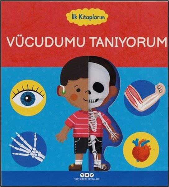 KolektifEgitim Etkinlik KitaplariVücudumu Tanıyorum - İlk Kitaplarım