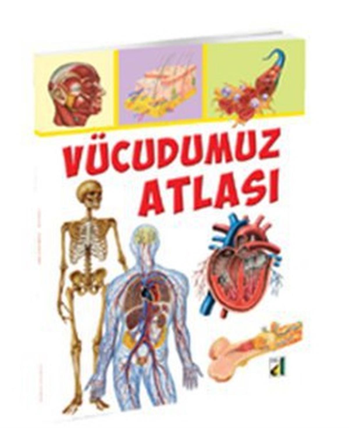 Vincenzo UmanoDiger AtlaslarVücudumuz Atlası