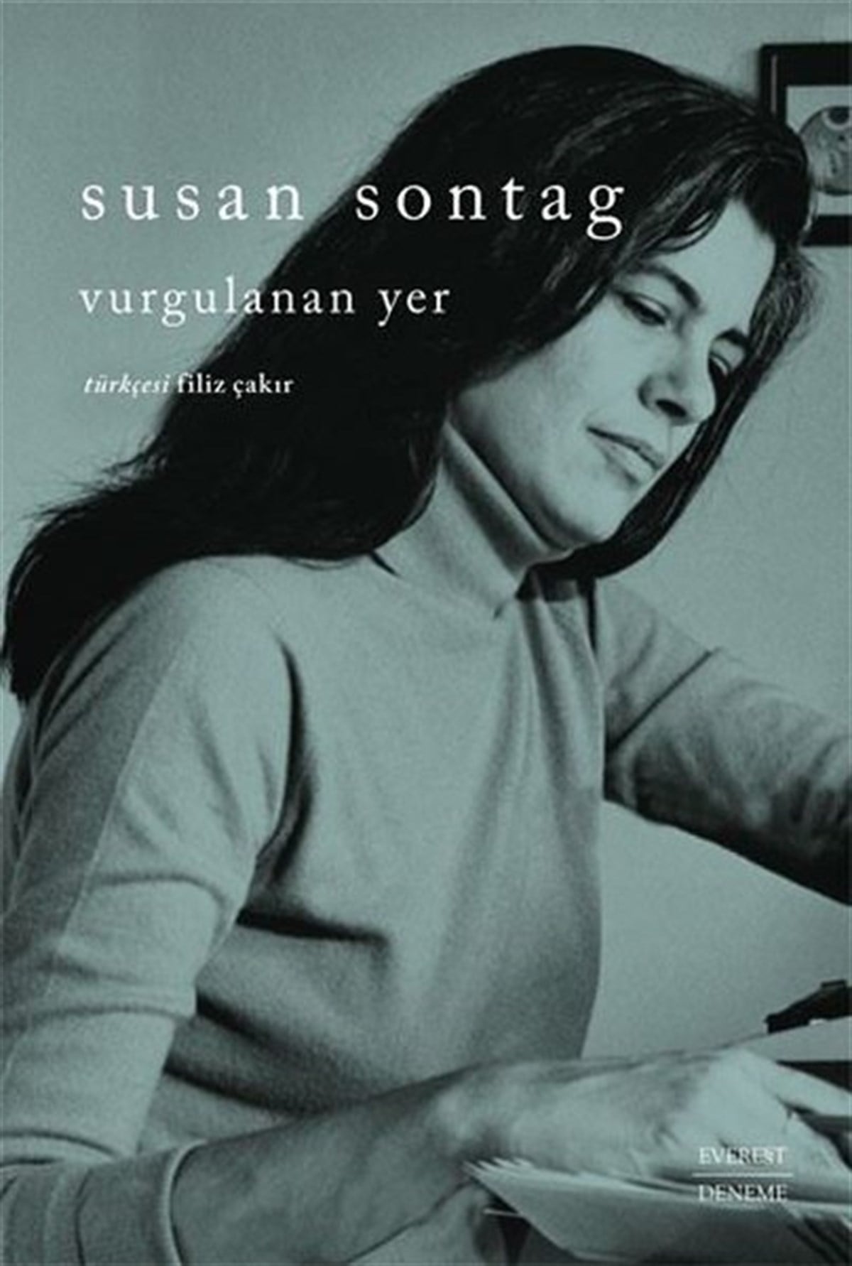 Susan SontagDeneme KitaplarıVurgulanan Yer