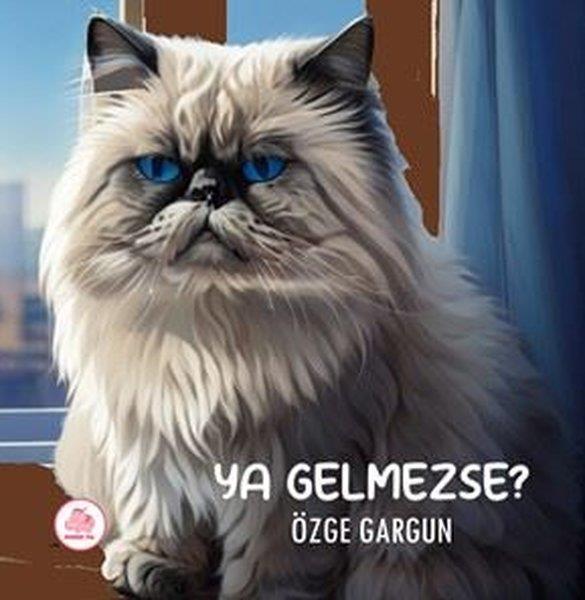 Özge GargunEgitim Etkinlik KitaplariYa Gelmezse?