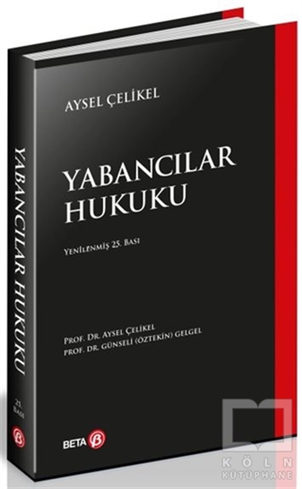Aysel ÇelikelHukuk Üzerine KitaplarYabancılar Hukuku